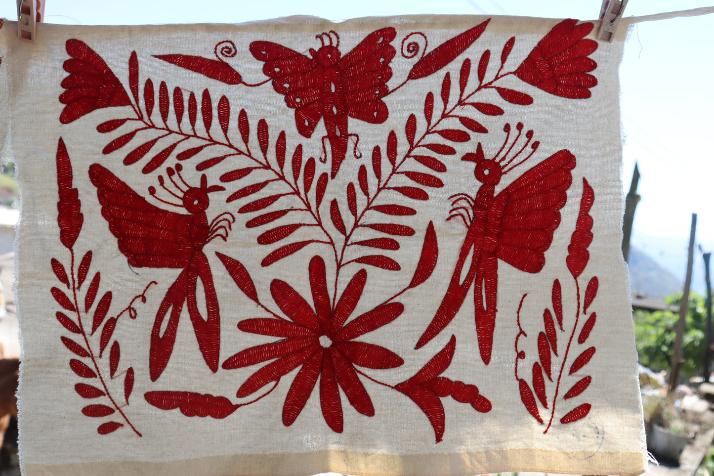 Square with orange birds by Ofelia